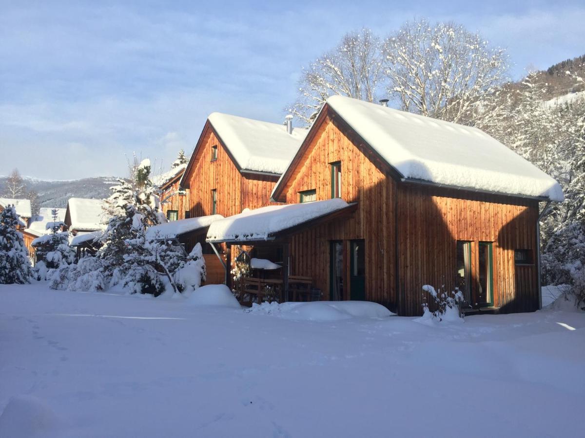 Alpenferienhaus Kreischberg Sankt Lorenzen ob Murau Ngoại thất bức ảnh