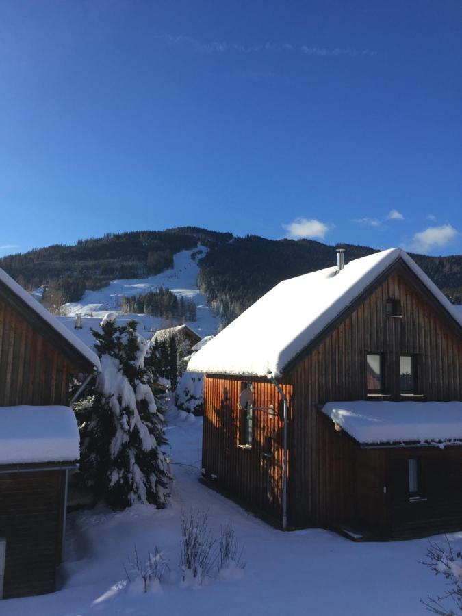 Alpenferienhaus Kreischberg Sankt Lorenzen ob Murau Ngoại thất bức ảnh