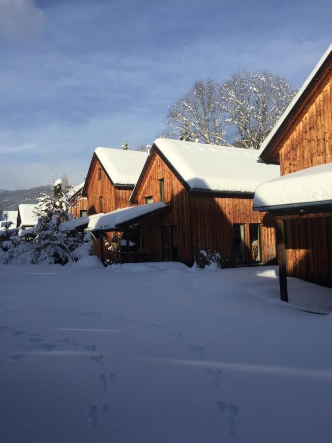 Alpenferienhaus Kreischberg Sankt Lorenzen ob Murau Ngoại thất bức ảnh