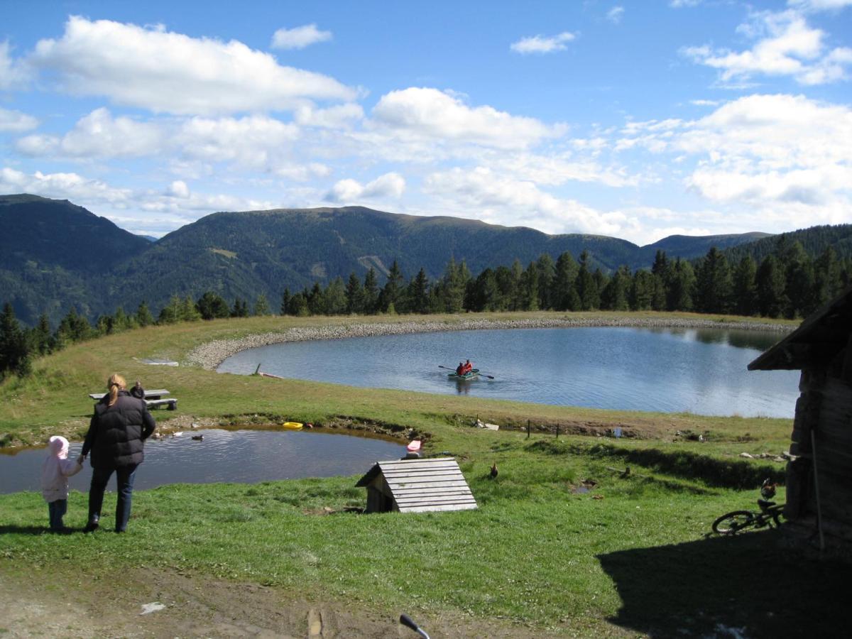 Alpenferienhaus Kreischberg Sankt Lorenzen ob Murau Ngoại thất bức ảnh