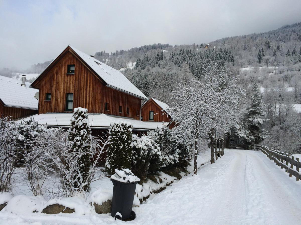 Alpenferienhaus Kreischberg Sankt Lorenzen ob Murau Ngoại thất bức ảnh