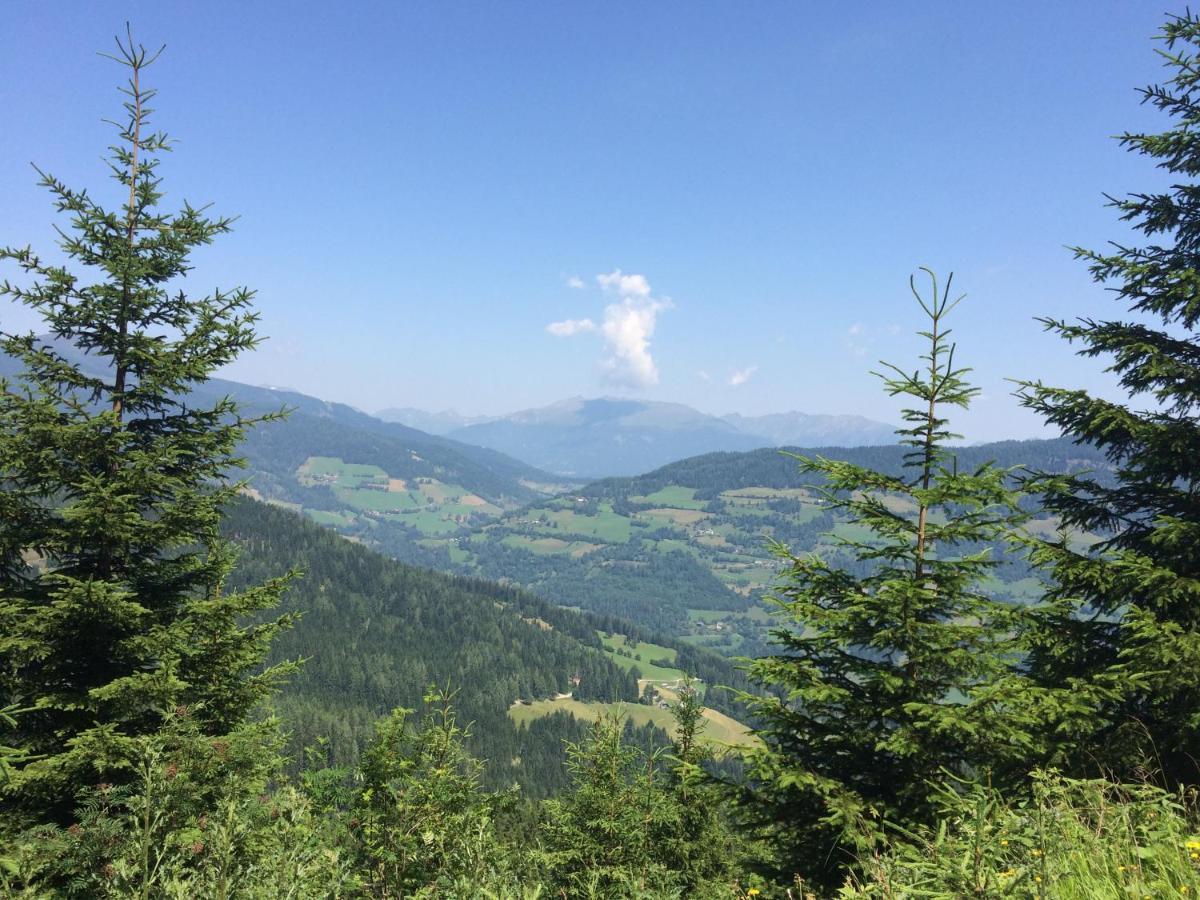 Alpenferienhaus Kreischberg Sankt Lorenzen ob Murau Ngoại thất bức ảnh