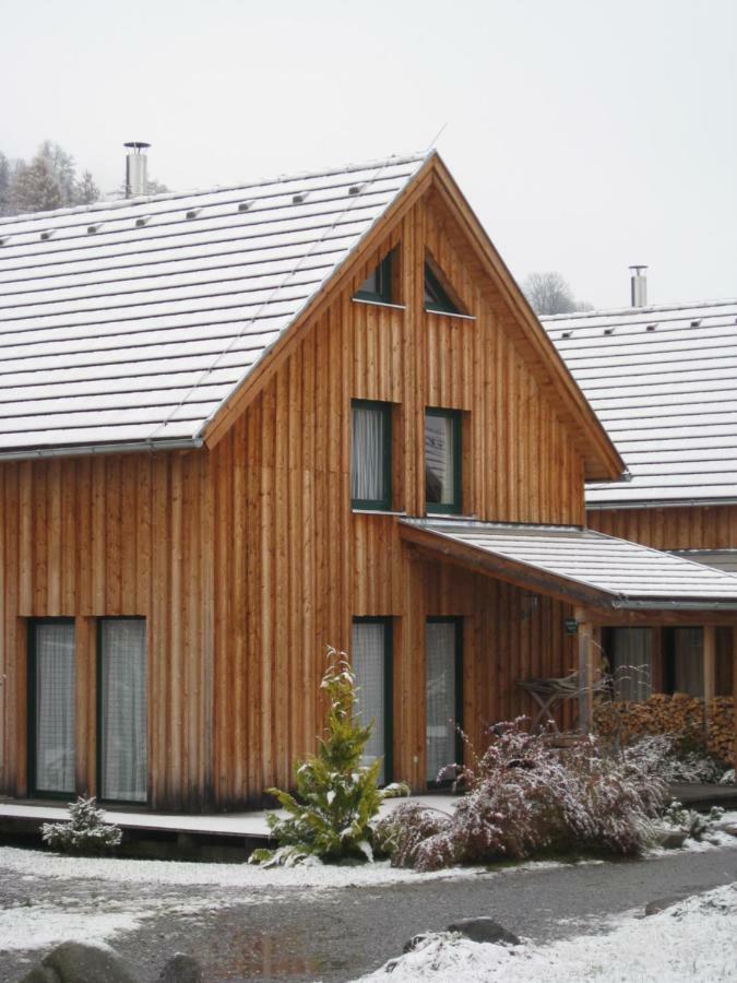 Alpenferienhaus Kreischberg Sankt Lorenzen ob Murau Ngoại thất bức ảnh